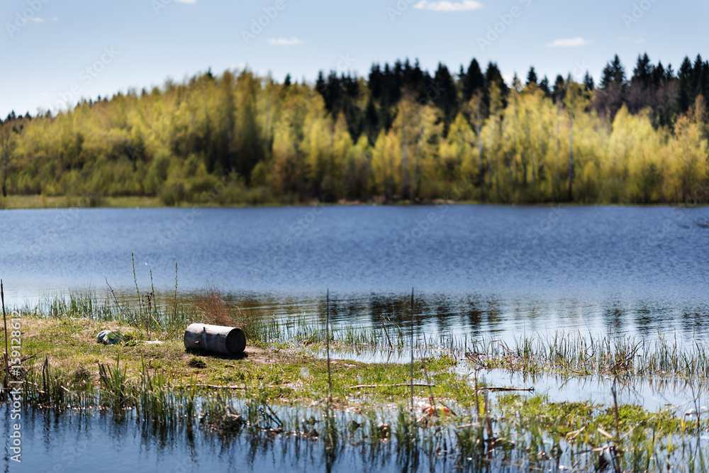 Fototapeta premium Spring Park. Lake in the spring park. Spring landscape.