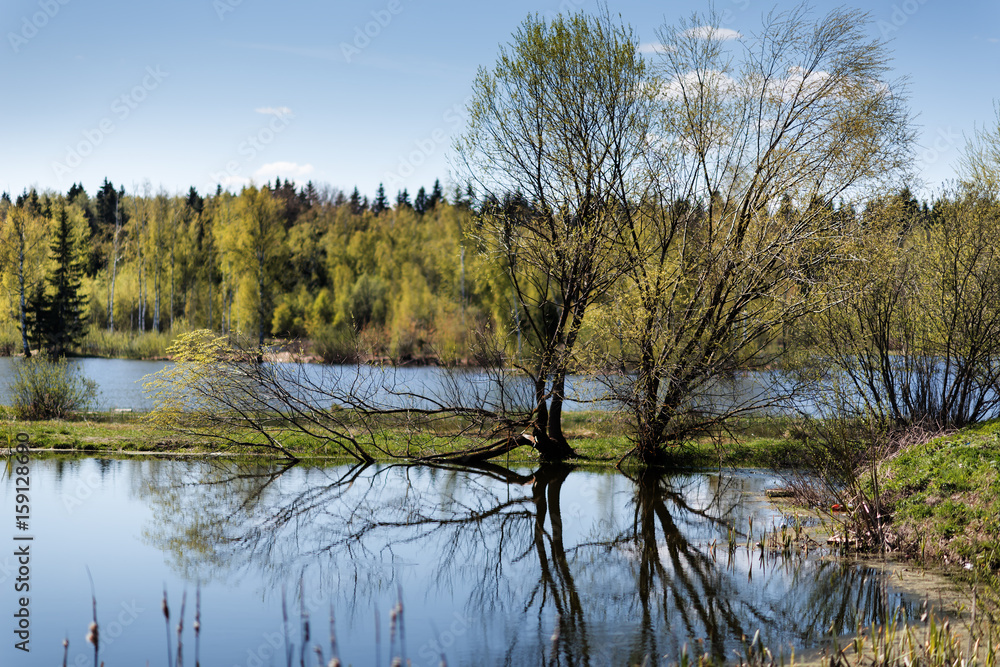 Evening view of forest Lake with reflection of trees in the water. Evening view of forest Lake with reflection of trees in the water.