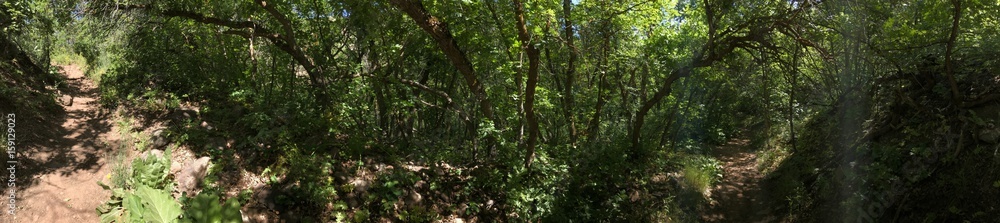 nature trail nature trail