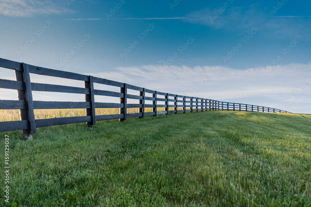 Green Grass with Black Fence Over Hill