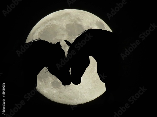 I love you to the moon and back