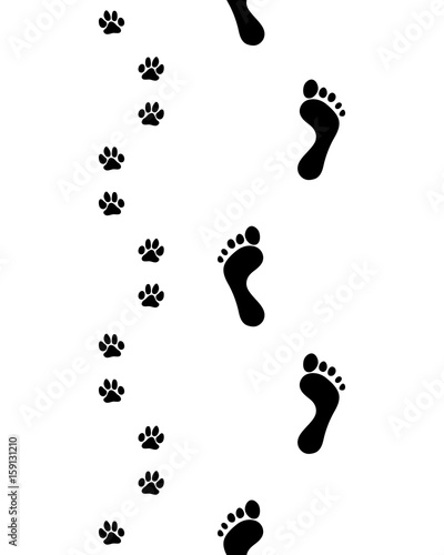 Prints of human feet and dog paws,seamless pattern, vector