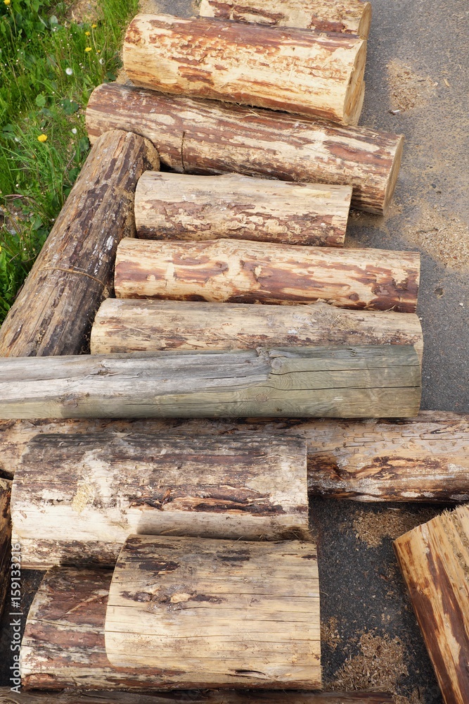 Firewood in the yard different sizes Firewood in the yard different sizes