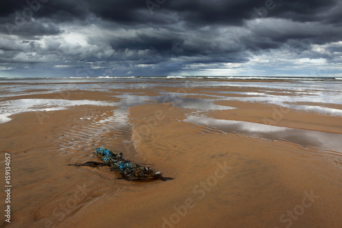 debris, balmedie beach photo