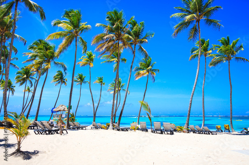 Beautiful beach from Barcelo hotel, Punta Cana photo