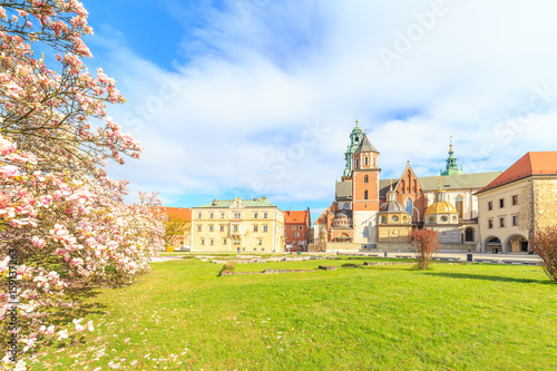 A view of beautiful flowers near Wawel castle i Krakow, Poland photo