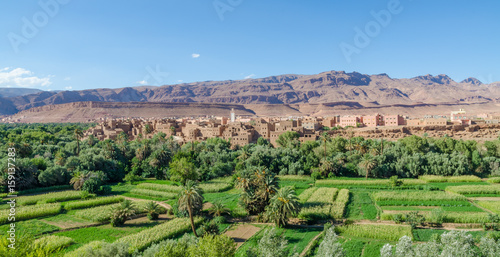 Beautiful lush green oasis with buildings and mountains at Todra Gorge, Morocco, North Africa