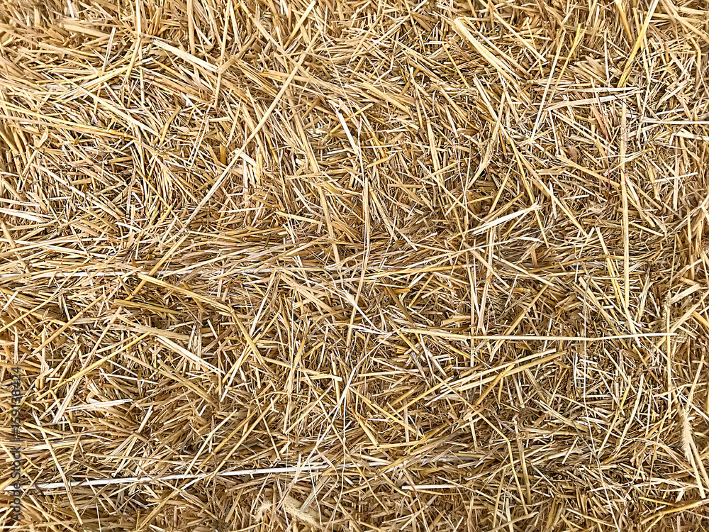 Background - yellow straw.