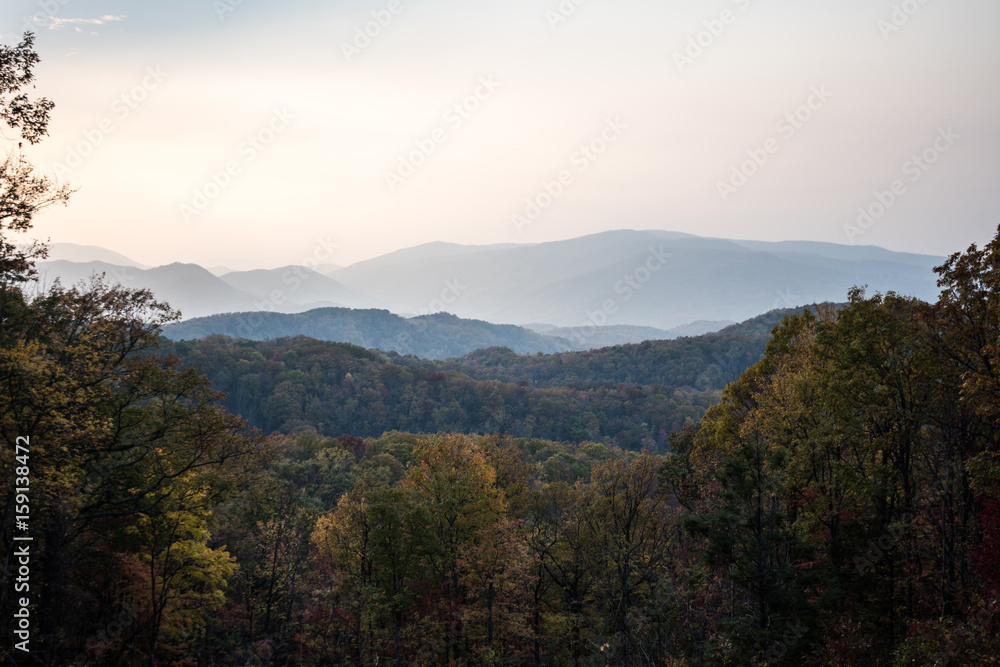 Beauty Landscape Beauty Landscape