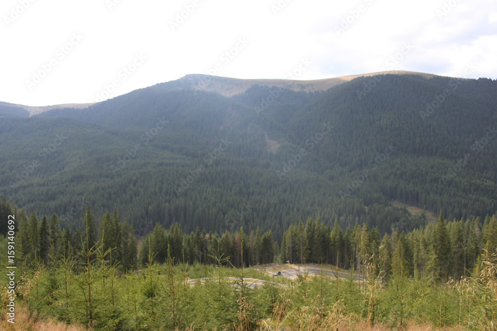 transalpina landscape