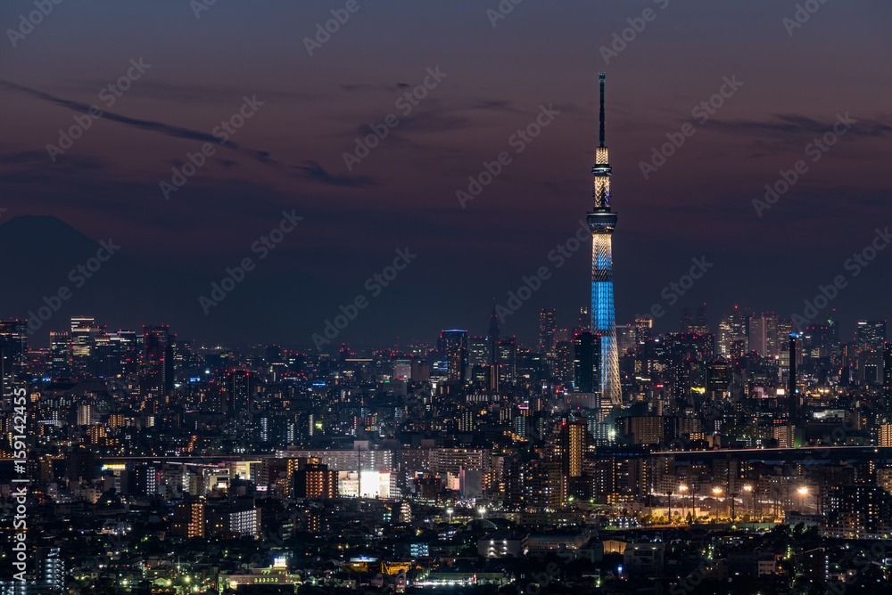 Obraz premium スカイツリーと東京都心の夜景