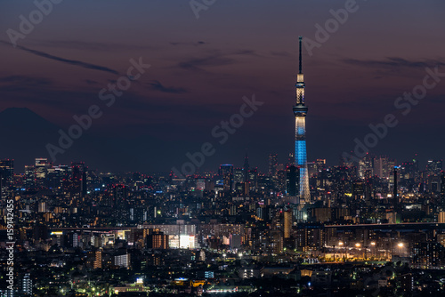 スカイツリーと東京都心の夜景 © hit1912