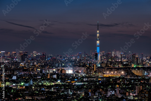 スカイツリーと東京都心の夜景