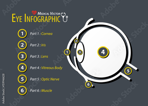 Eye infographic . Flat design .