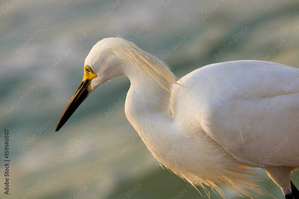 Marco Island Beach Sunset