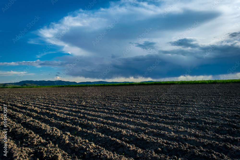 Corrugated Field Under Idaho Sky