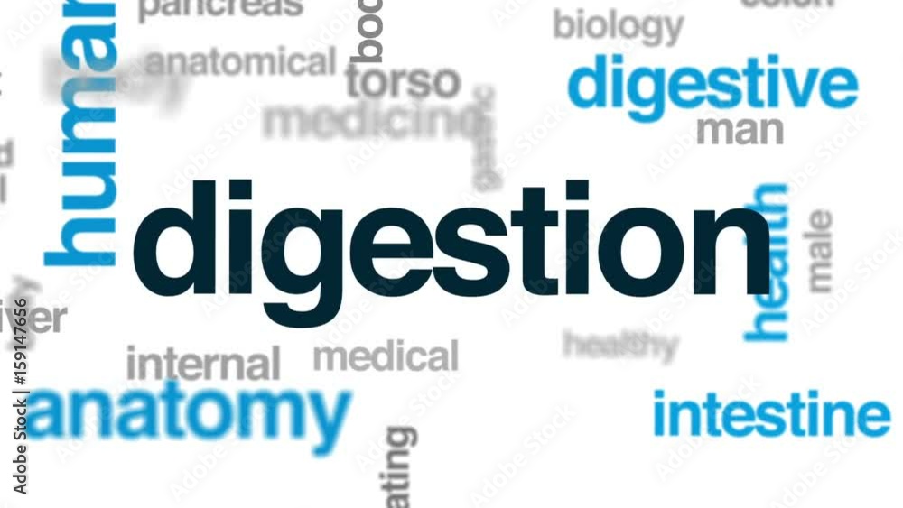 Digestion animated word cloud, text design animation. Digestion animated word cloud, text design animation.