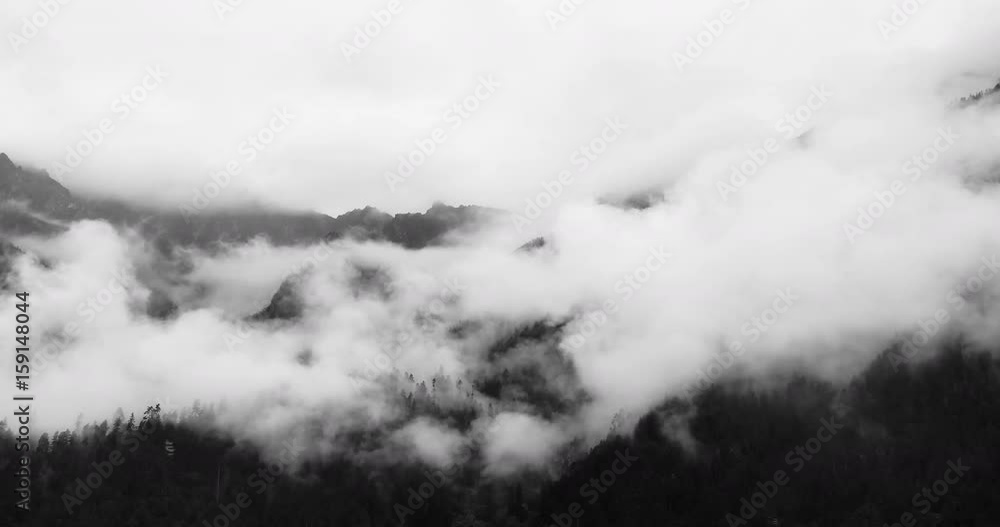 4k time lapse of mountain mist rising in the morning,fog pine trees,such as wonderland.Bomi County in tibet,the largest precipitation area in China. 4k time lapse of mountain mist rising in the morning,fog pine trees,such as wonderland.Bomi County in tibet,the largest precipitation area in China.