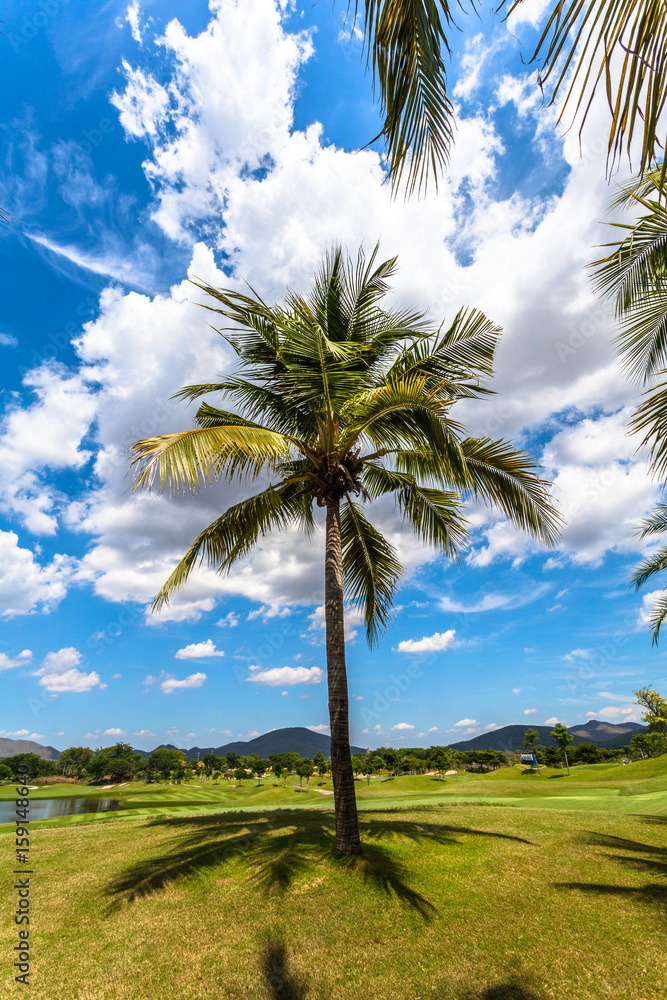Fototapeta premium white clouds in blue sky above the golf field