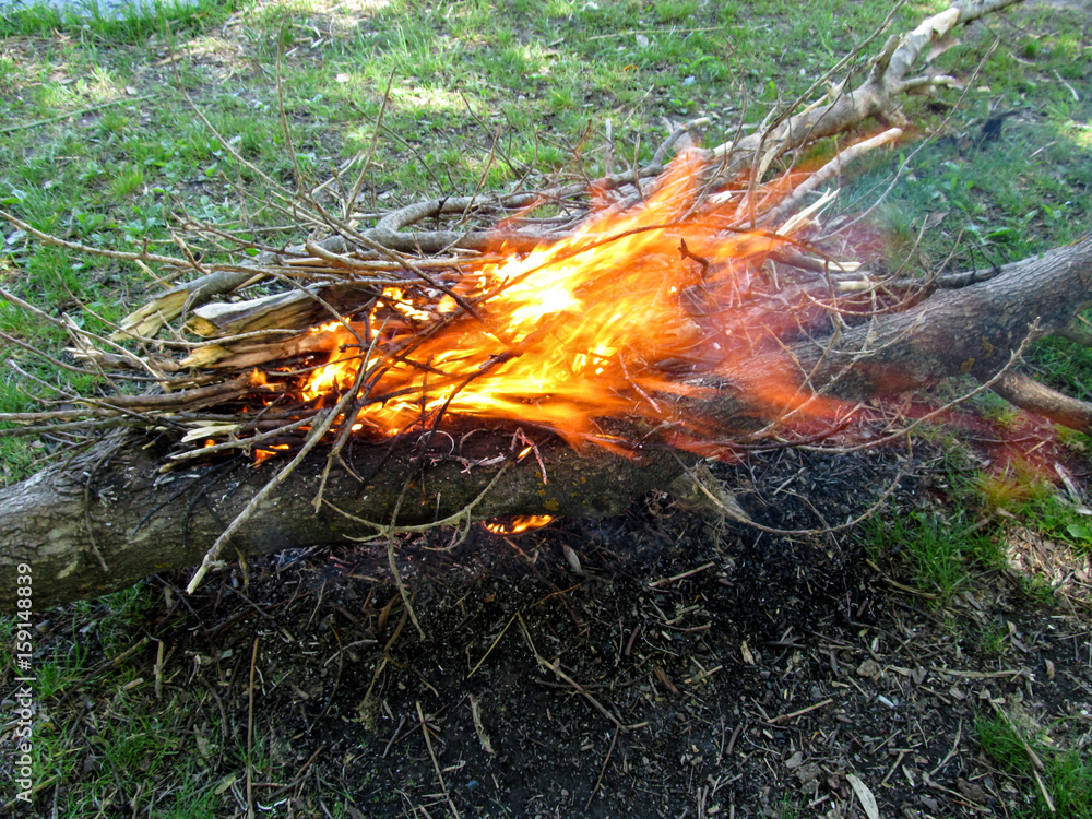 Bright orange bonfire from dry branches in a meadow. Spurts of flame against the background of green grass Bright orange bonfire from dry branches in a meadow. Spurts of flame against the background of green grass