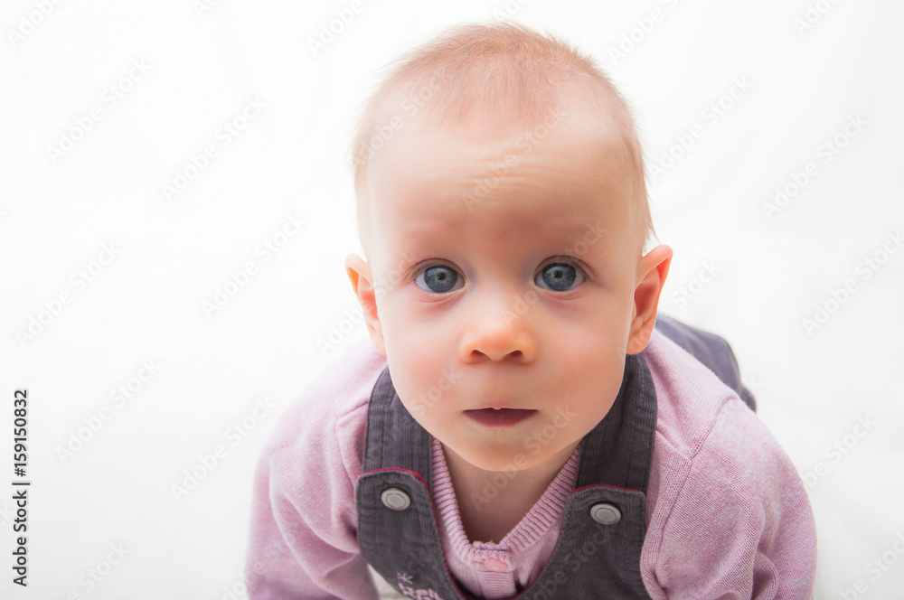 Portrait of little girl on white background
Portrait of little girl on white background