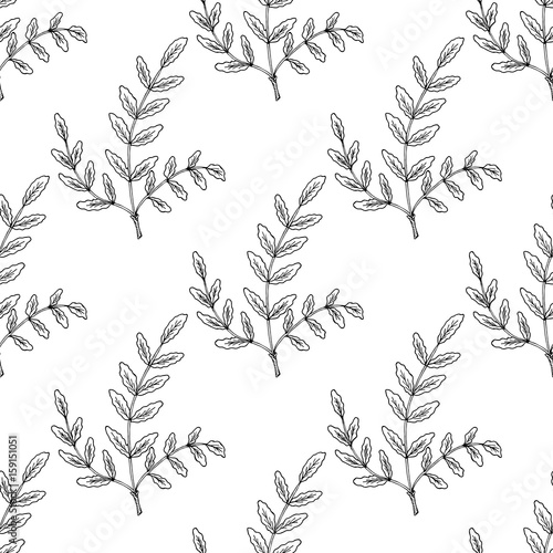 Indian Frankincense Salai or Boswellia serrata vintage illustration.Olibanum-tree (Boswellia sacra), aromatic tree. Ink hand drawn herbal illustration. Seamless pattern.