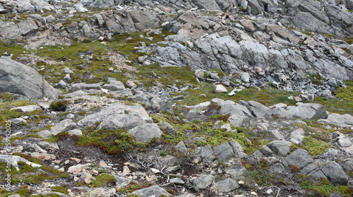 Barren rocky landscape in Newfoundland, Canada