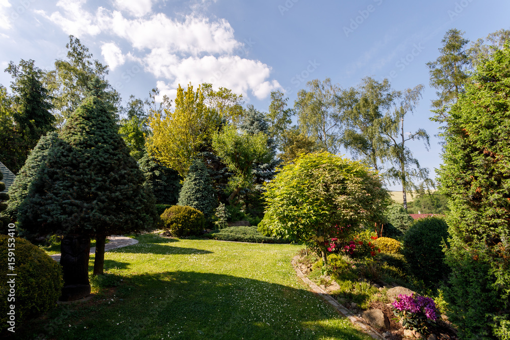 colorful spring garden