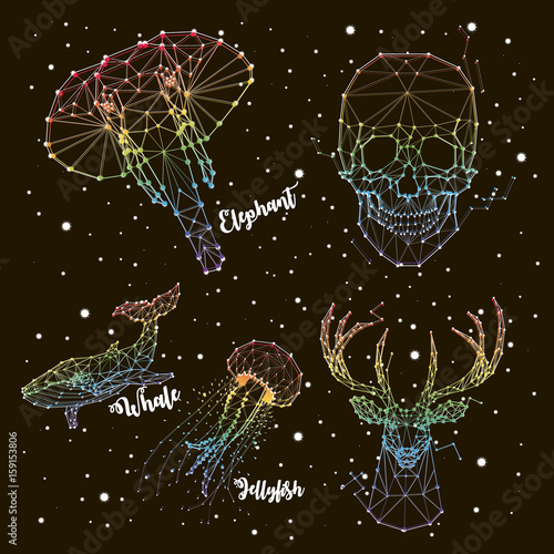 Set of constellations iridescent coloring. Elephant, whale, jellyfish, deer, skull, vector