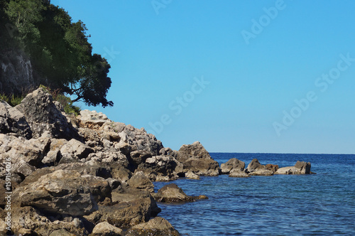 Large rocks and rocks on the beach, trees grow on the ledges