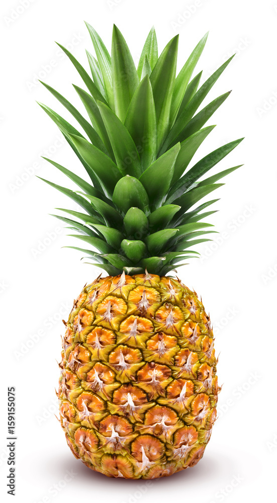 Pineapple isolated. One whole pineapple with green leaves isolated on white  background with clipping path Stock Photo | Adobe Stock