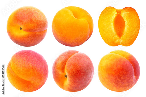 Valokuvatapetti Apricot isolated