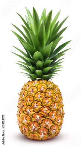Pineapple isolated. One whole pineapple with green leaves isolated on white background with clipping path