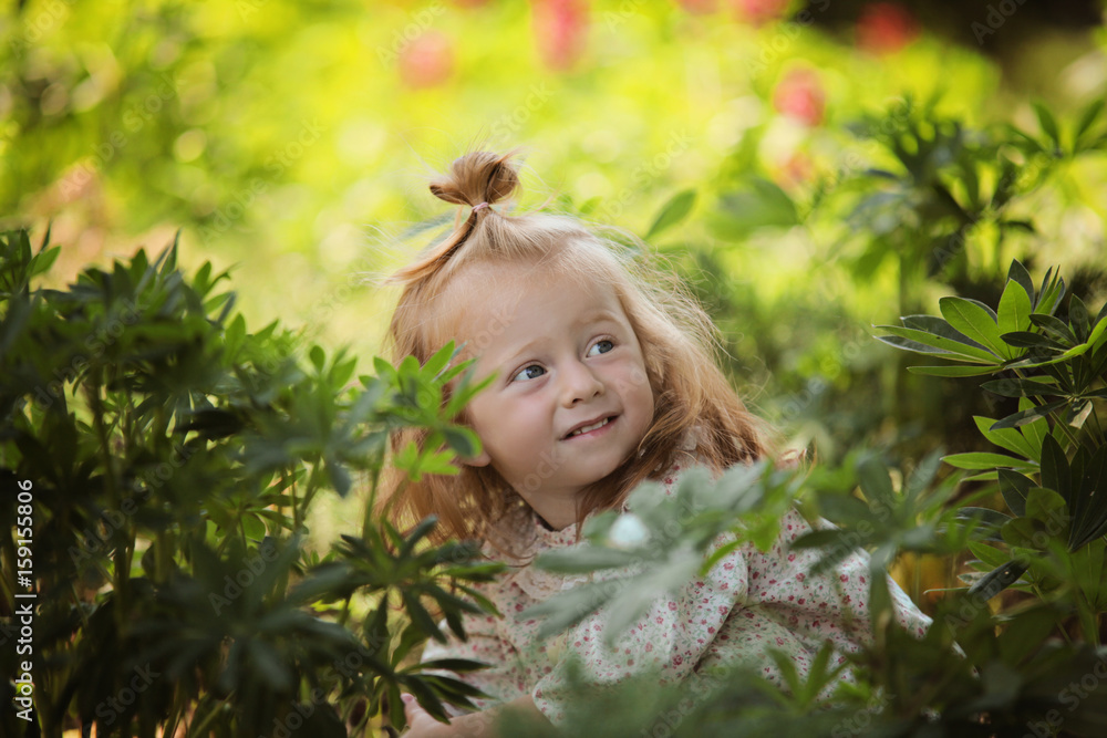 Portrait of little Little red hair girl playing in lupines field. Ginger sunny kid has fun in the garden surrounded by lush and flowers sunny day Portrait of little Little red hair girl playing in lupines field. Ginger sunny kid has fun in the garden surrounded by lush and flowers sunny day