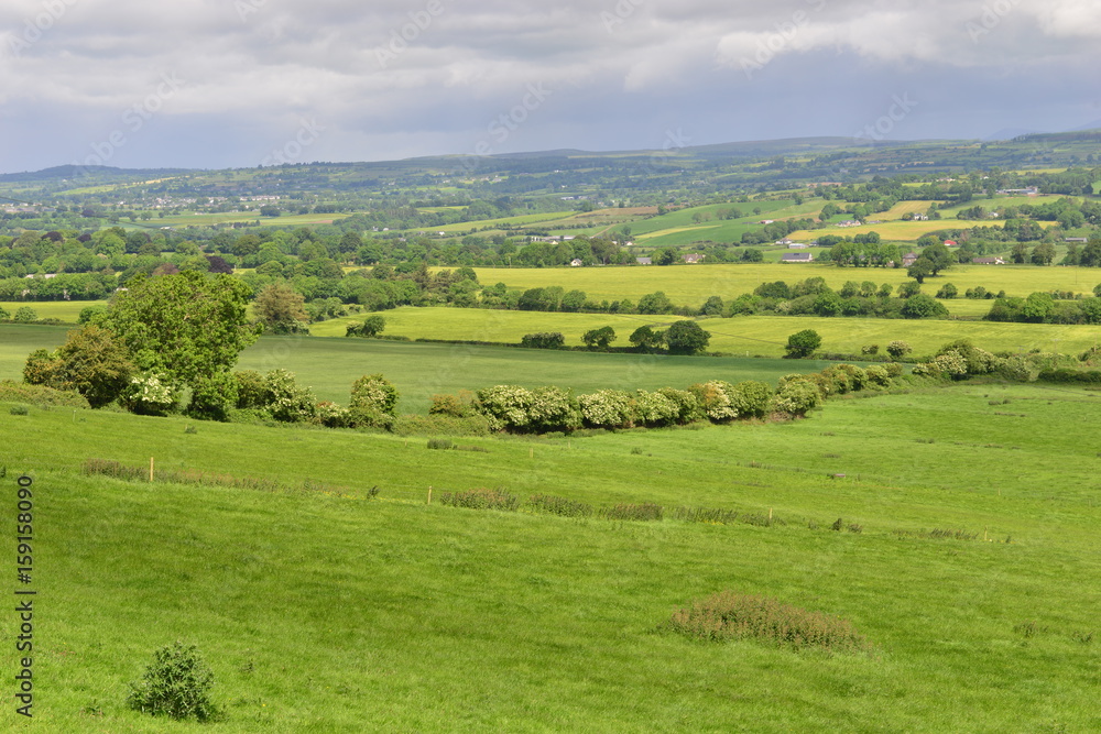 The Irish countryside and farmland in June. The Irish countryside and farmland in June.
