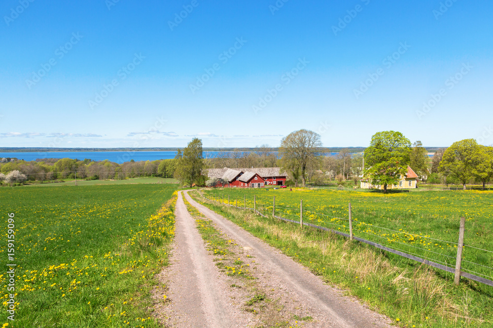 Dirt road to a farm with a flowering meadows and views