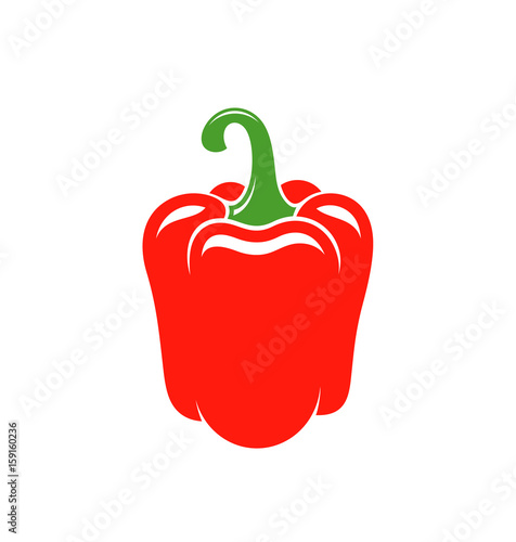 Bell pepper. Vector illustration photo