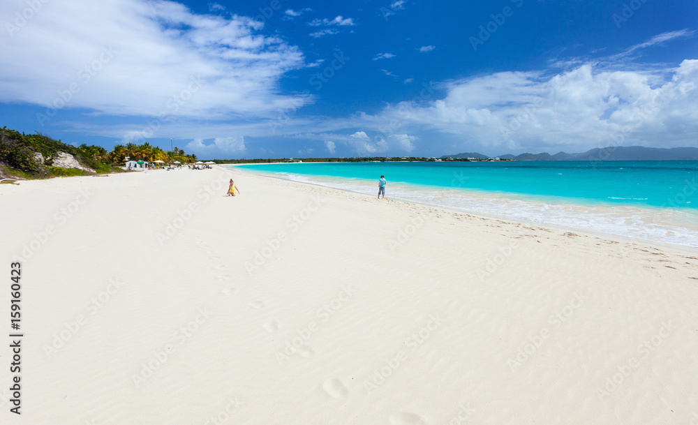 Obraz premium Caribbean beach