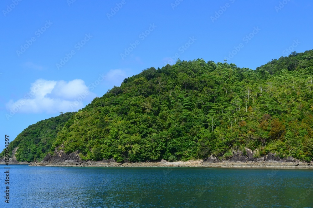 Tropical beach, covered in dense vegetation. Philippines Tropical beach, covered in dense vegetation. Philippines