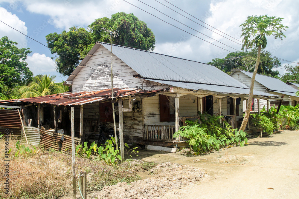 Wooden houses at Peperpot plantation in Suriname Wooden houses at Peperpot plantation in Suriname