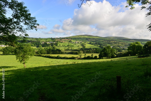 The Irish countryside in June. 