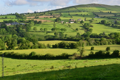 The Irish countryside in June. 