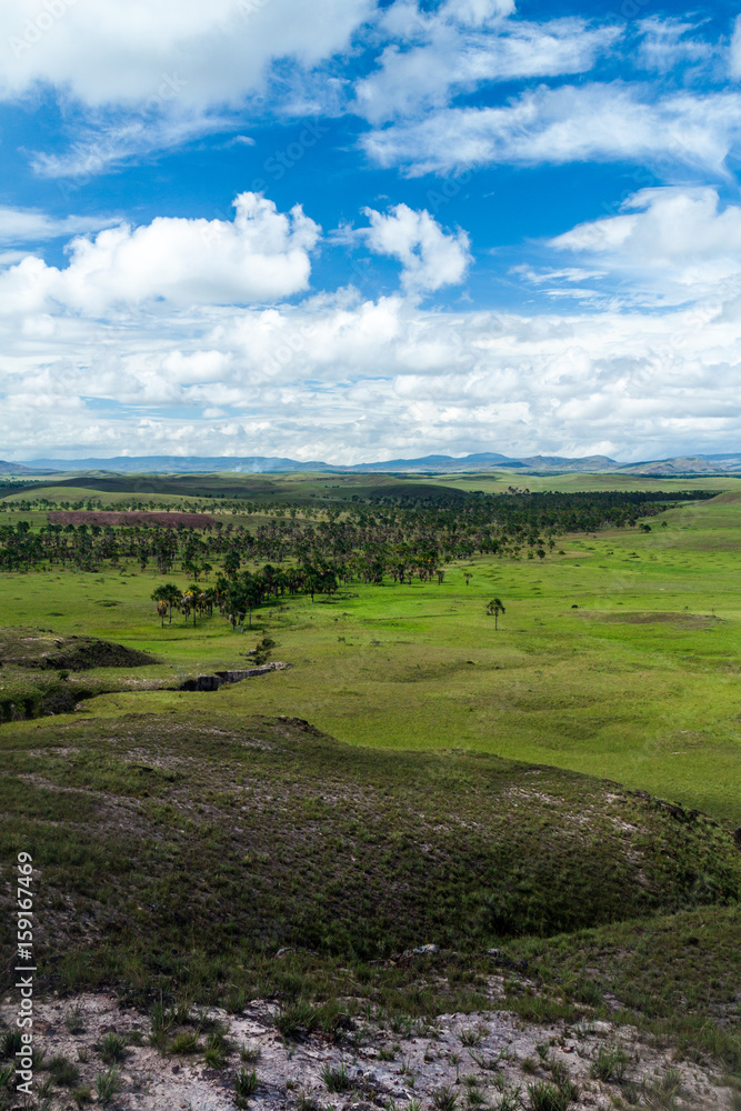 Landscape of Gran Sabana region in National Park Canaima, Venezuela