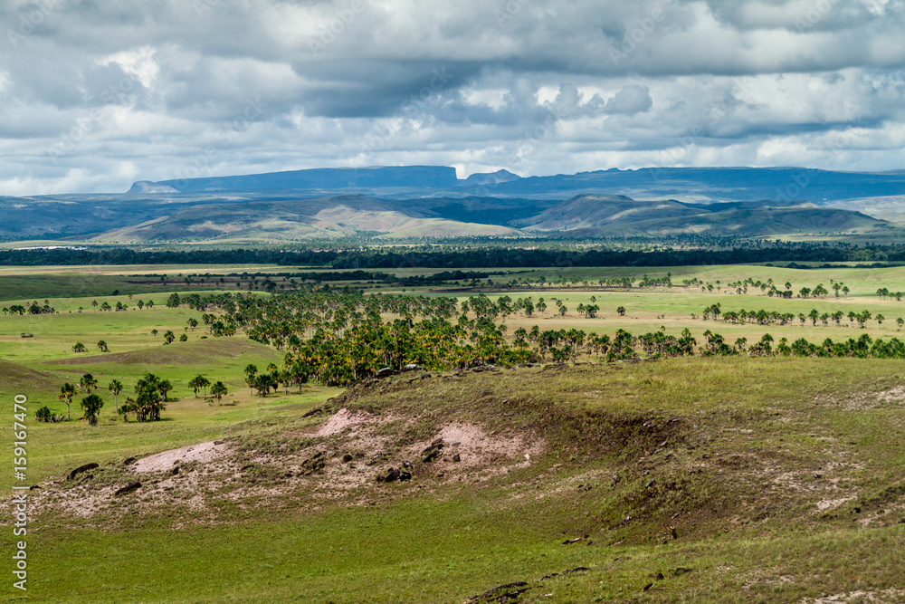 Fototapeta premium Landscape of Gran Sabana region in National Park Canaima, Venezuela. Tepuis (table mountains) in the background.