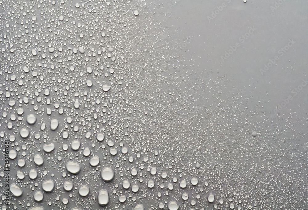 water drops on a gray background - obrazy, fototapety, plakaty 