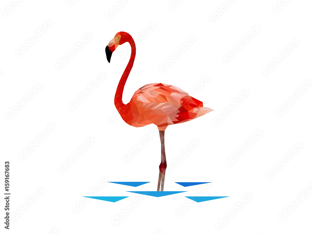 Obraz premium Vector flamingo