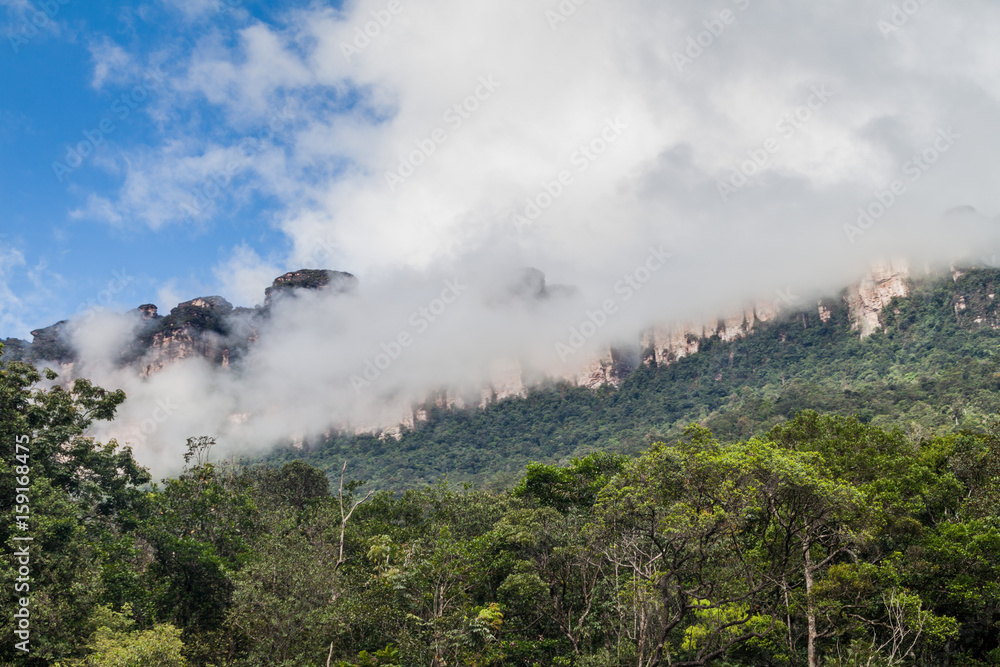 Fototapeta premium Tepui (table mountain) Auyan in National Park Canaima, Venezuela