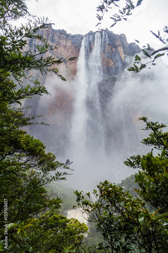 Angel Falls  Salto Angel   the highest waterfall in the world  978 m   Venezuela