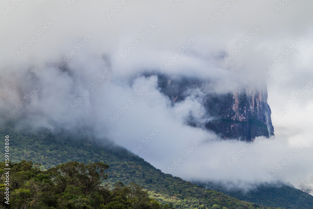 Tepui (table mountain) Auyan in National Park Canaima, Venezuela
