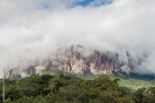 Tepui (table mountain) Auyan in National Park Canaima, Venezuela